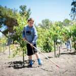 06-revere agri-boy raking