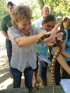 Susan, one of last year’s docents in training, had fun holding a gopher snake during Pepperdine Professor Lee Kats’ presentation on reptiles and amphibians at Topanga State Park. Photo: Lucinda Mittleman